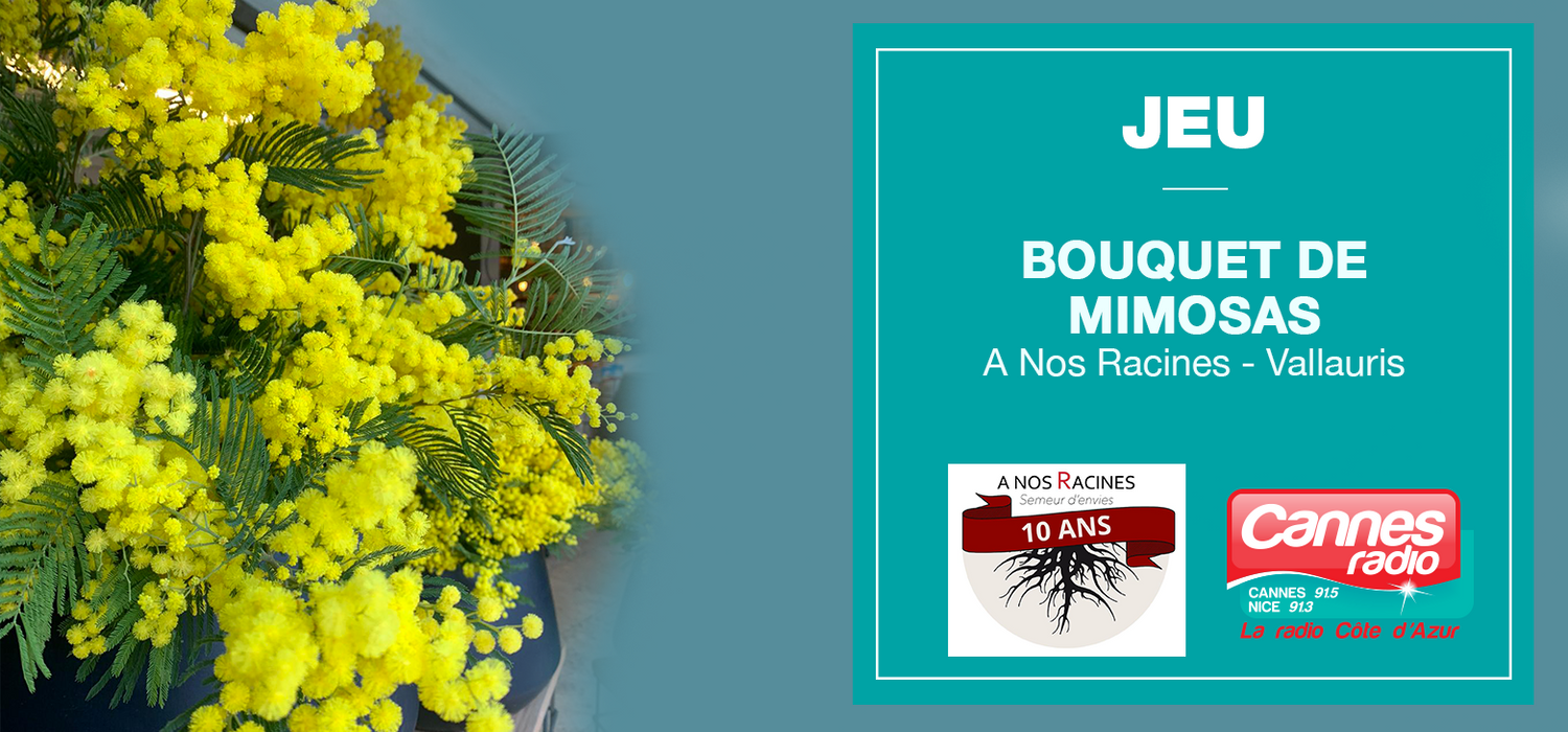 CANNES RADIO VOUS OFFRE UN BOUQUET DE MIMOSAS AVEC A NOS RACINES